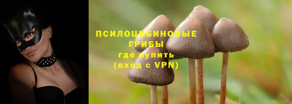экстази Баксан