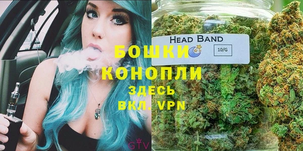 винт Белокуриха