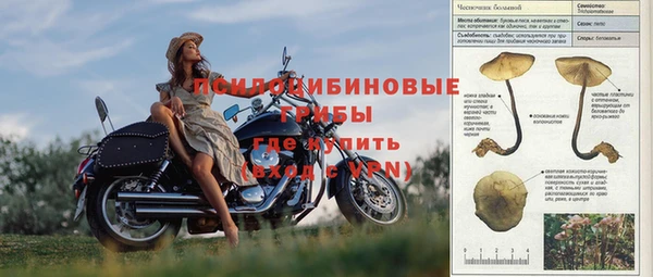 apvp Россошь